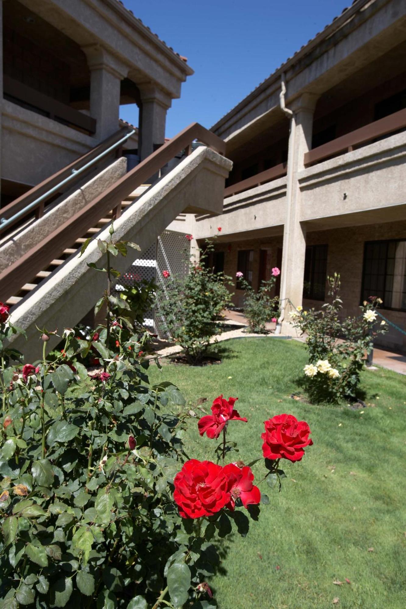 Premier Inns Thousand Oaks Esterno foto